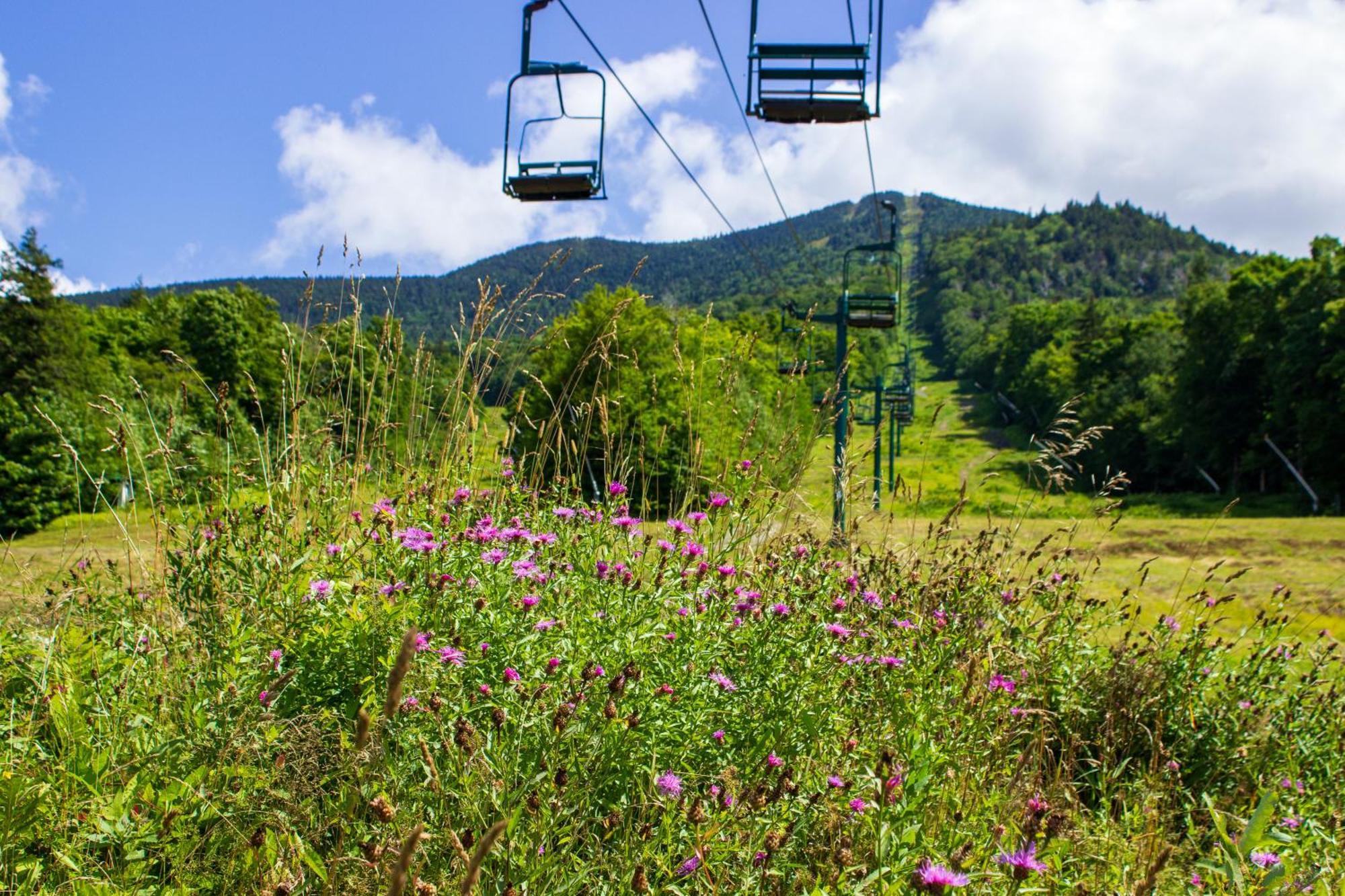 Smugglers' Notch Resort Private Suites Cambridge Exterior foto